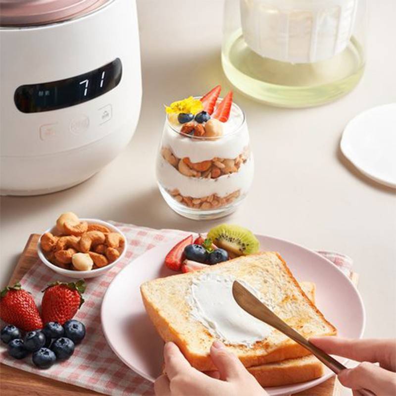 Bear Yogurt / Enzymes Maker BYEMW20L